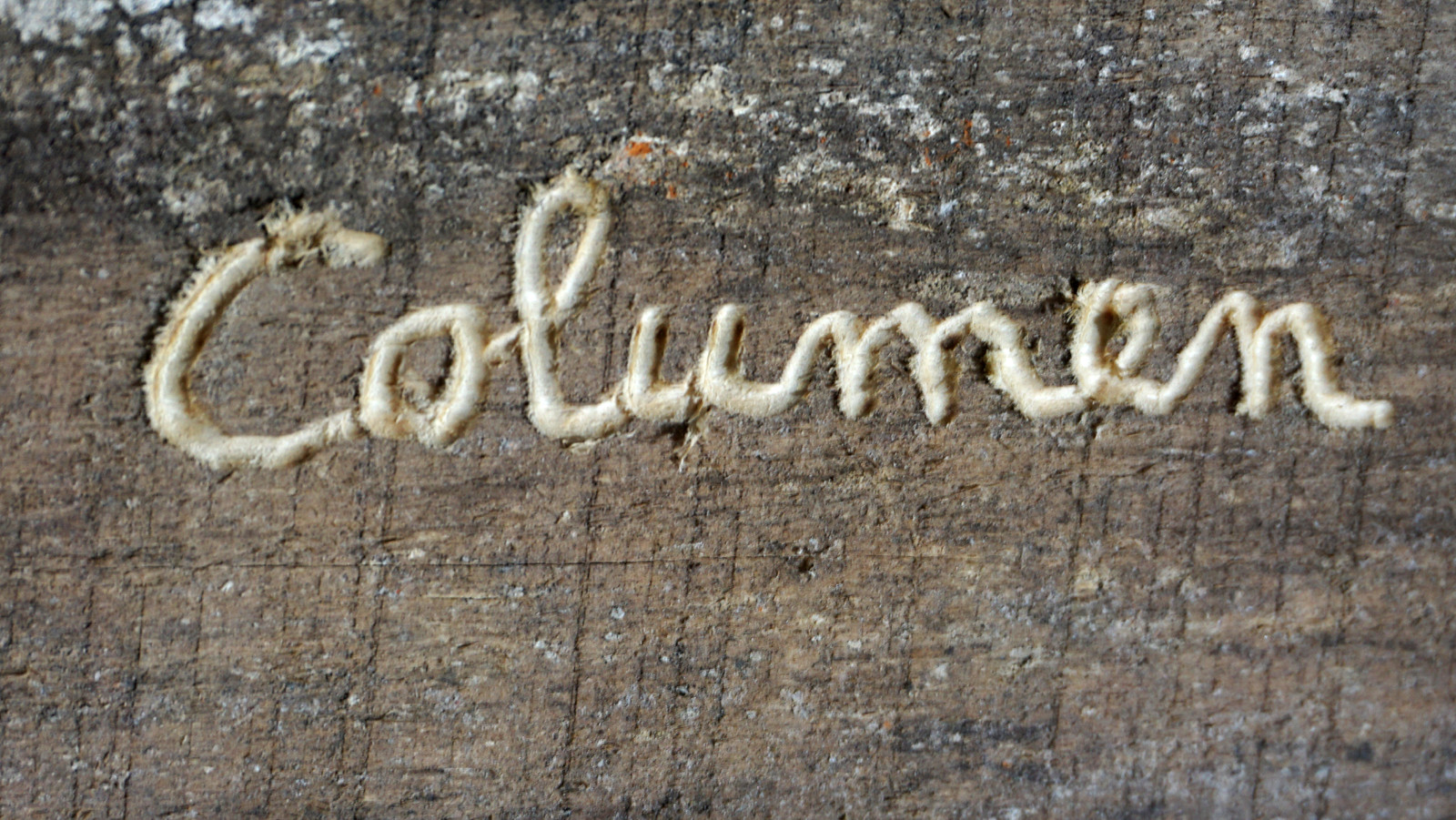 Artwork associated with Javier Soria Vázquez