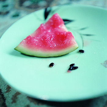 Tokyo Photographic Art Museum Highlights Rinko Kawauchi’s ‘Cui Cui’