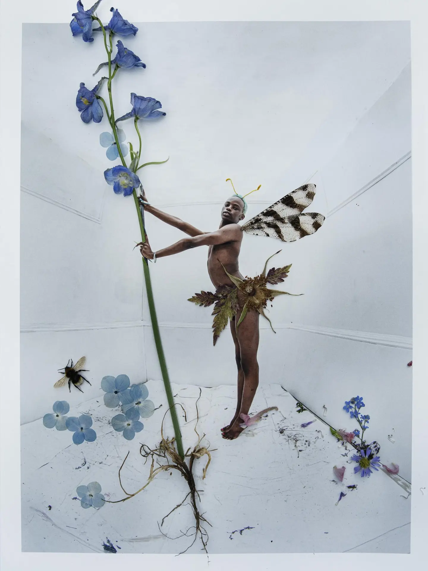 Artwork associated with Tim Walker