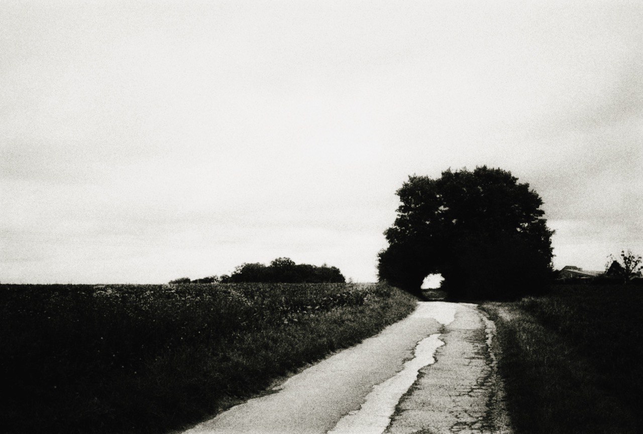 Museum Zentrum für verfolgte Künste Shows Melnykova’s Walk Documentation, 8 October–8 November 2026