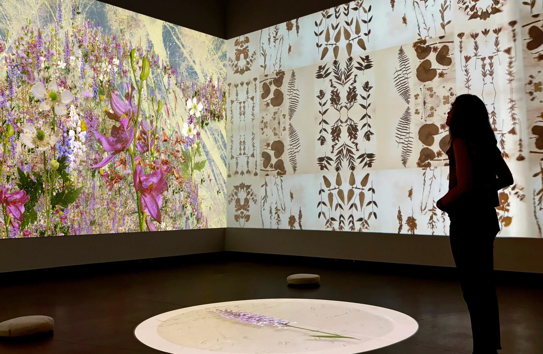 Frist Art Museum to Present Robin Vuchnich’s ‘In Search of Thoreau’s Flowers—The Memory of a Season’ in Nashville