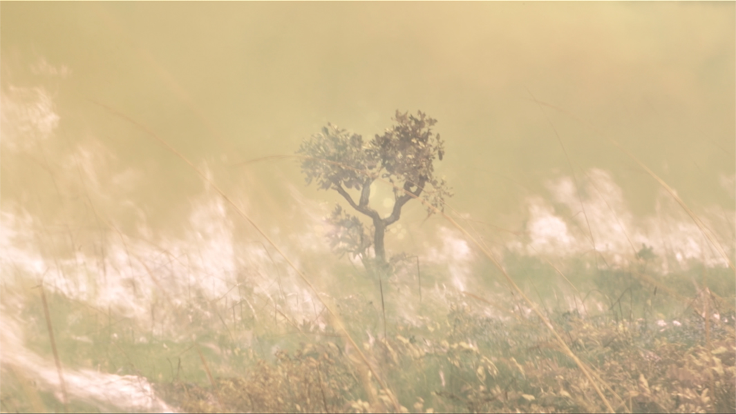 Léonard Pongo’s ‘Tales from the Source’ opens in the Wexner Center’s Box on 1 September