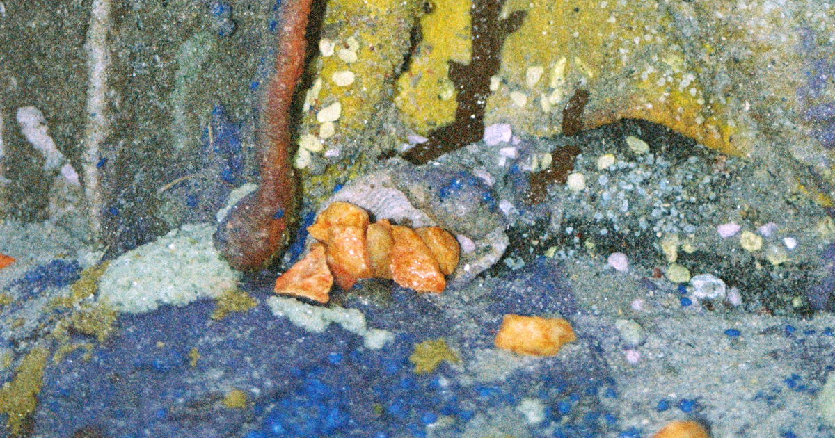 Viborg Kunsthal Announces Opening of ‘Fossil Soup’