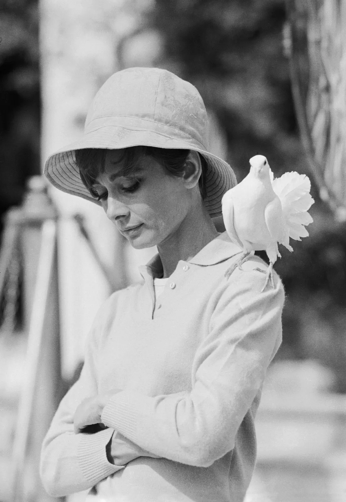 Large-format Audrey Hepburn photograph by Terry O’Neill presented