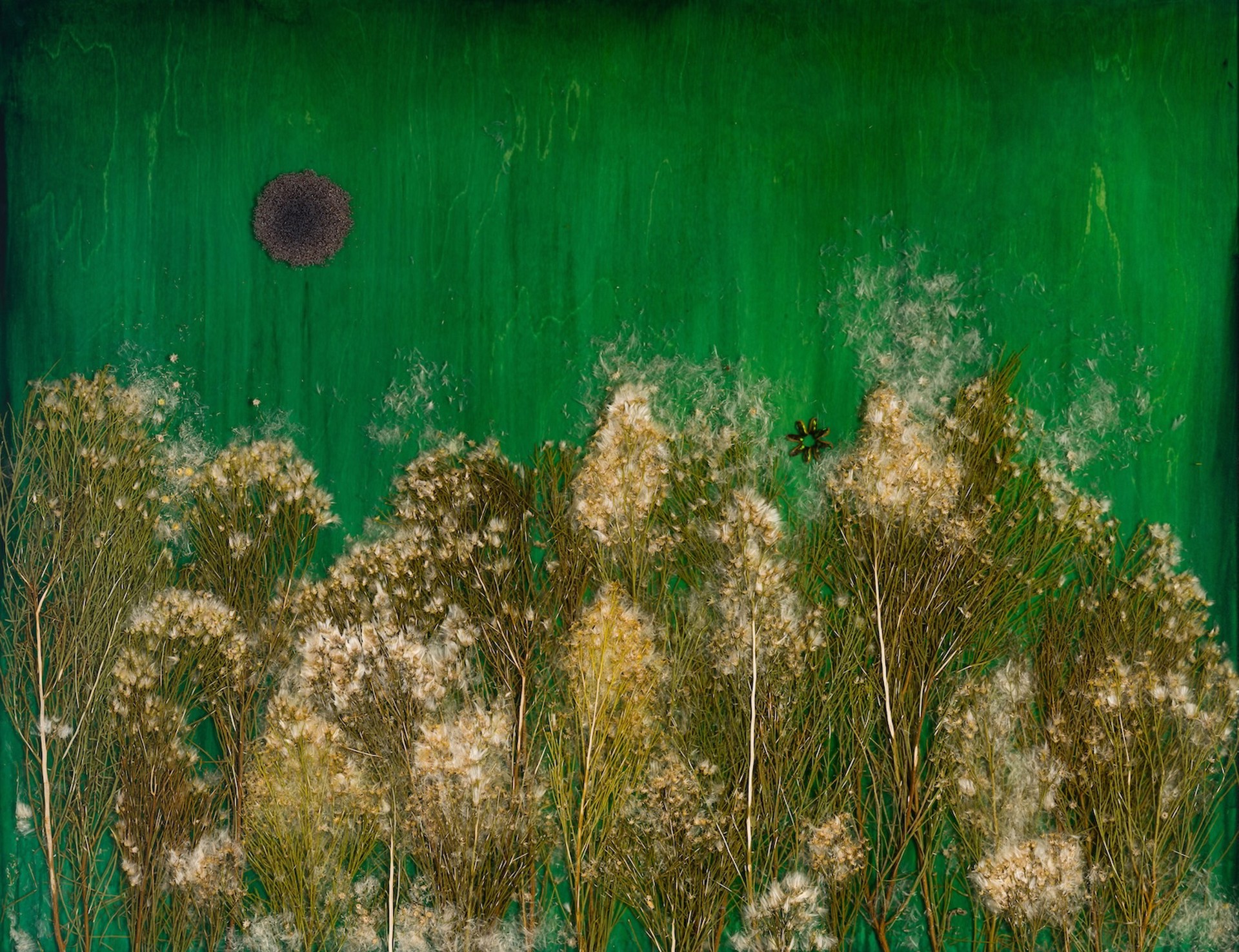 Dolby Chadwick Gallery to Present Mayme Kratz’s ‘To Know the Dark’