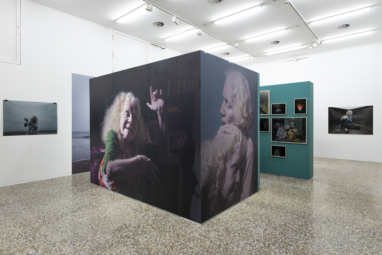 Musée Jenisch Vevey to host six exhibitions during Images Vevey 2026