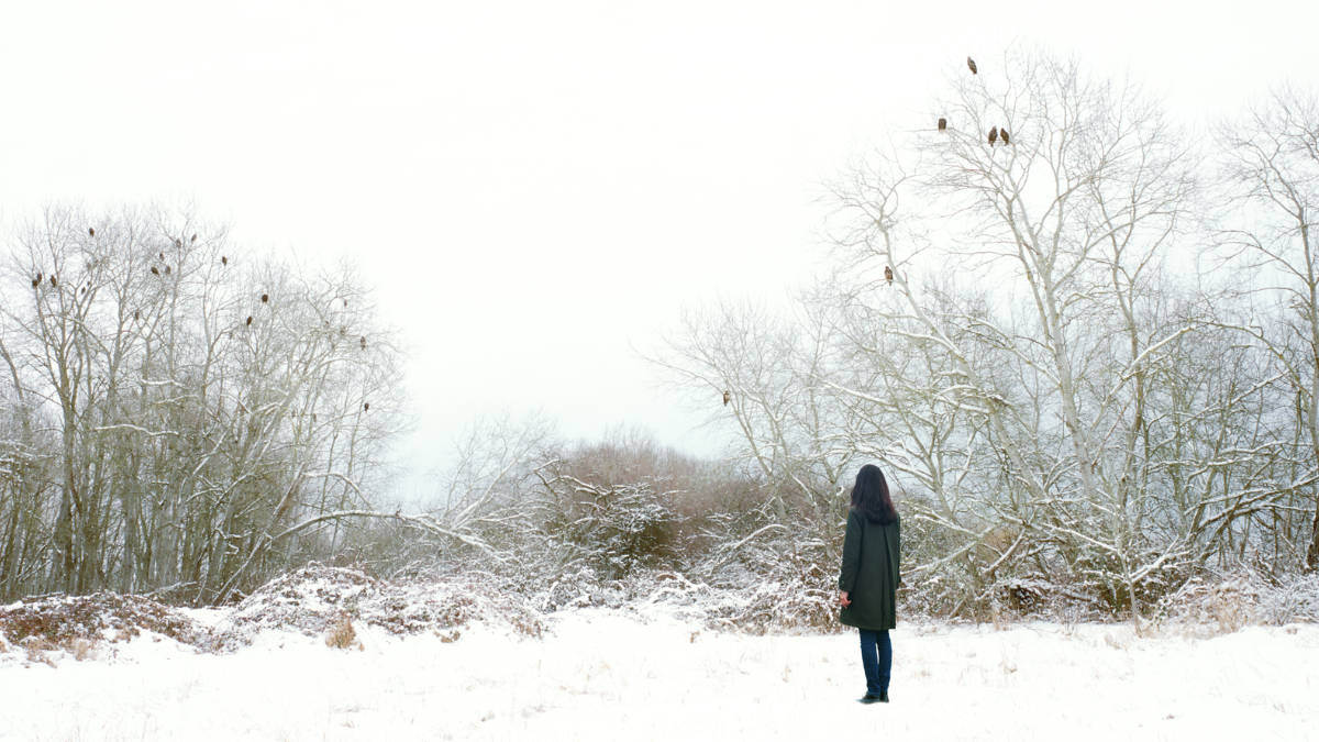 Solstice: Through Storm & Stillness