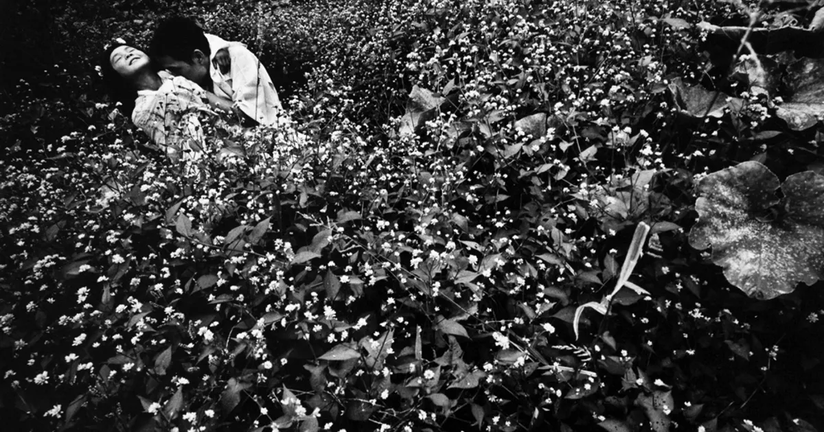 Hosoe Exhibition Highlights Collaborations with Mishima, Hijikata and Kusama