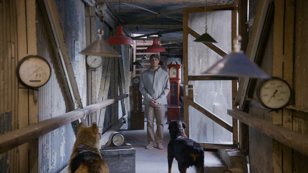 Menil Collection Presents John Akomfrah’s ‘The Hour Of The Dog’ in Houston