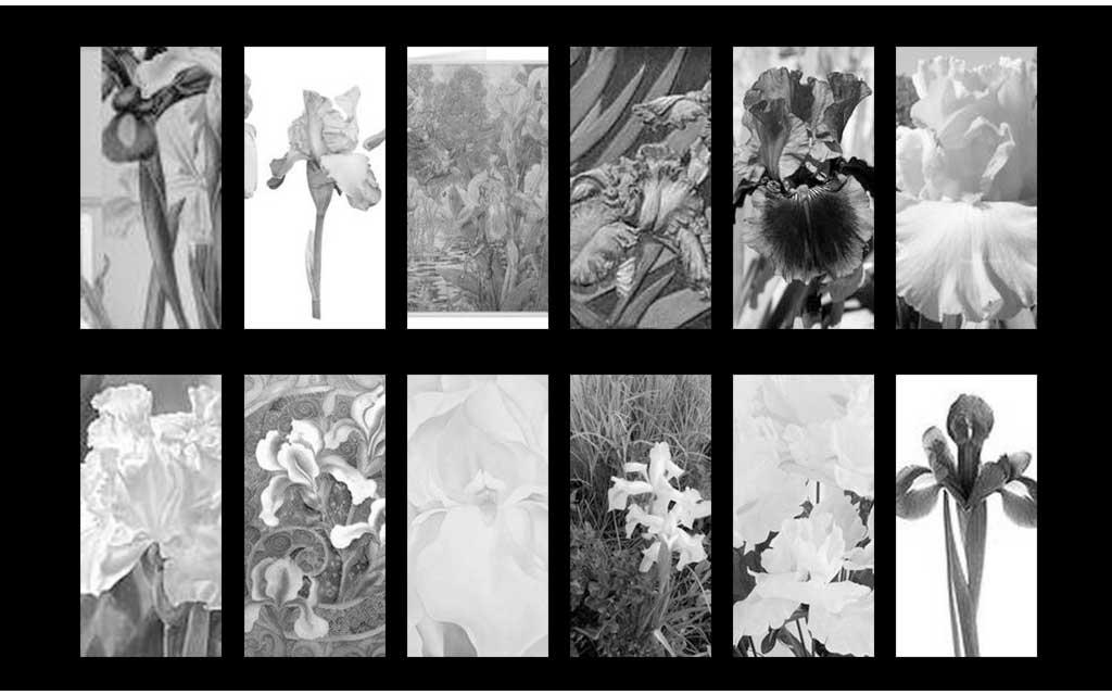 Taipei Fine Arts Museum’s ‘Vanishing Acts’ Remains Online Through 2026
