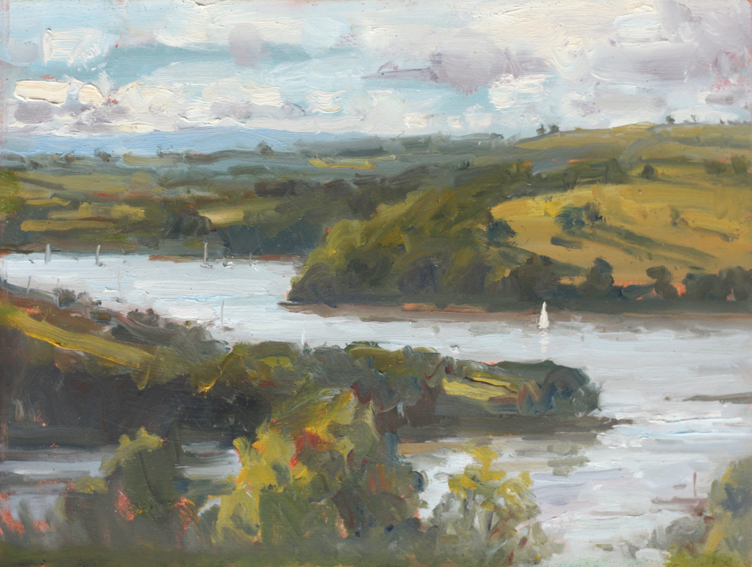 Colin Willey’s 19-Painting South Hams Collection Launches at Dart Gallery