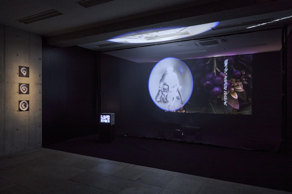 Aoi Sugita’s ‘The Cicada Shell of the 21st Century’ to Run September 12–November 8, 2026