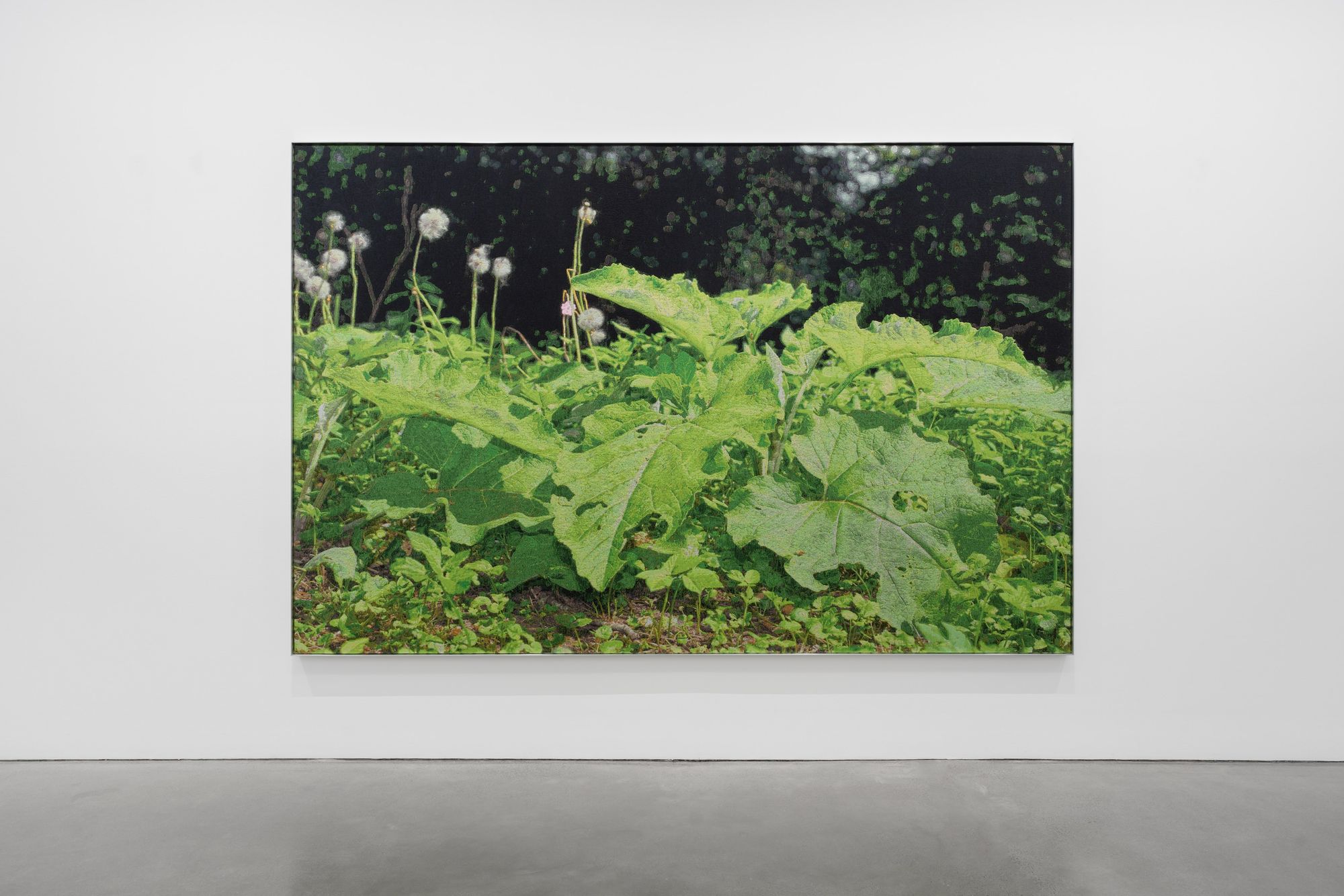 Bortolami announces representation of David Hartt
