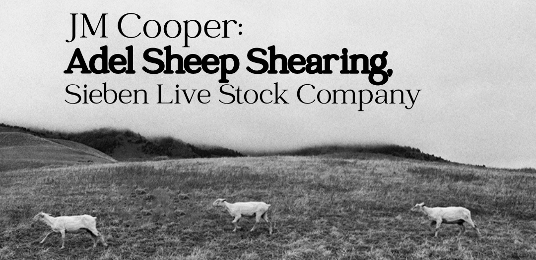 Cooper’s Adel Ranch Photographs Scheduled at Nicholson & Held Galleries