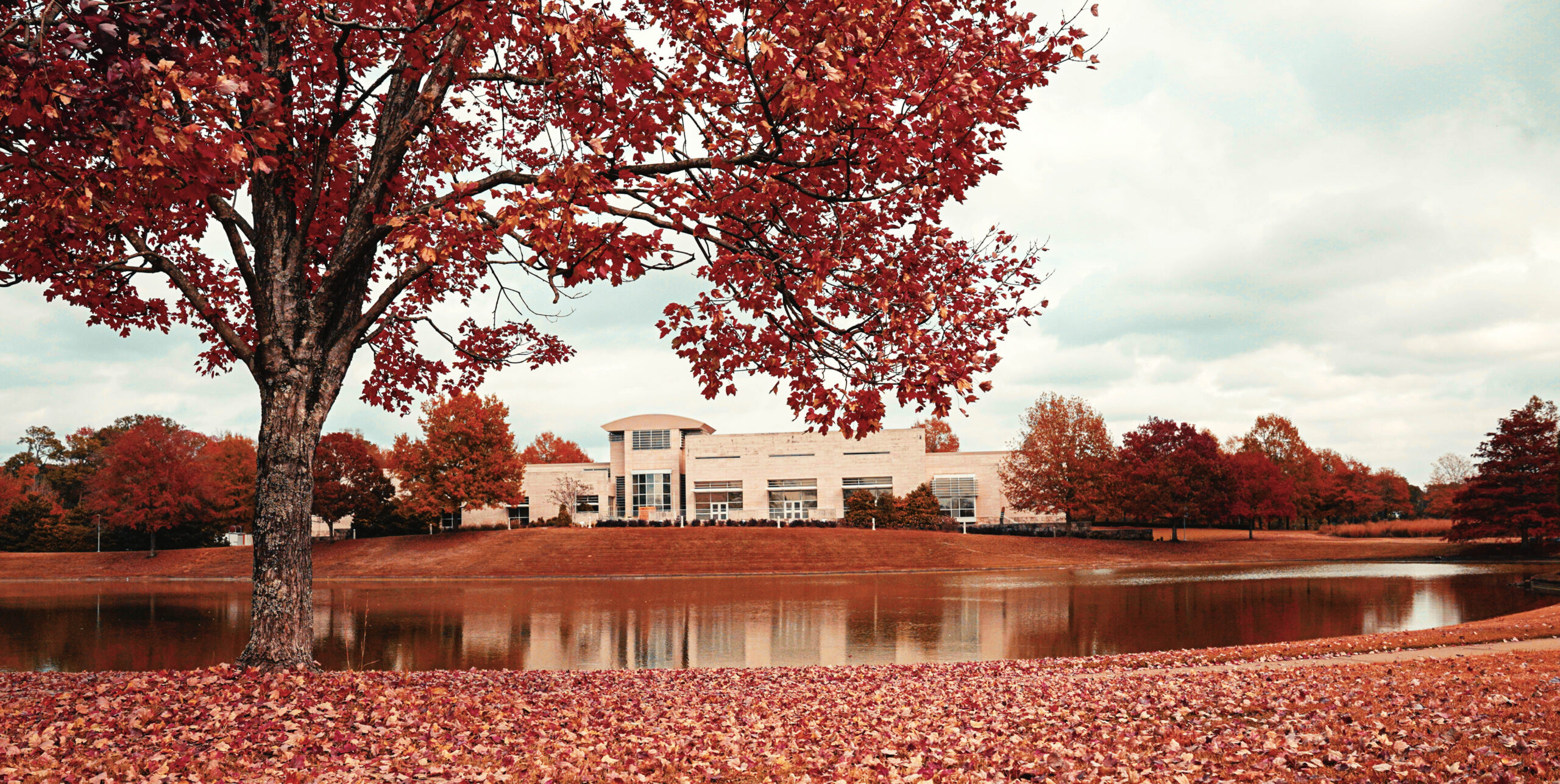 Jule Collins Smith Museum Receives Three 2026 SEMC Awards