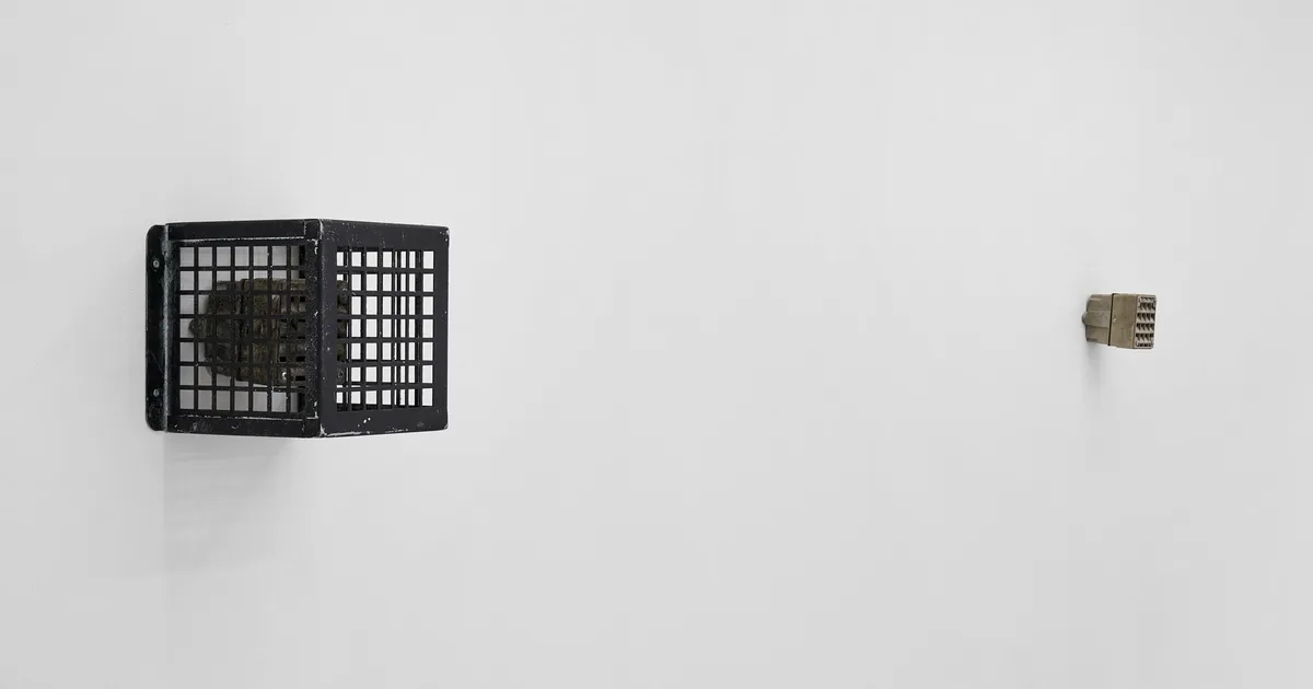 David L. Johnson: Nachtruhe