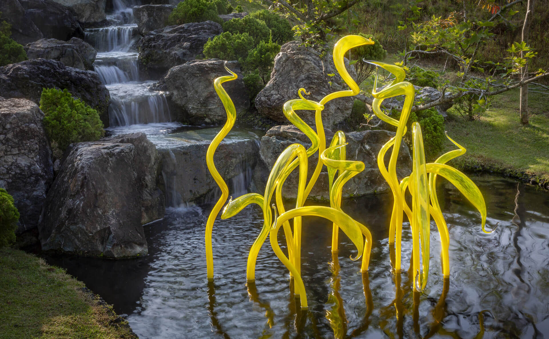 Dale Chihuly's Outdoor Glass Installations at Meijer Gardens Enter Final Month