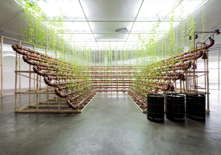 Public Commission Exploring 'the Plant' Set for Sculpture Court in 2027