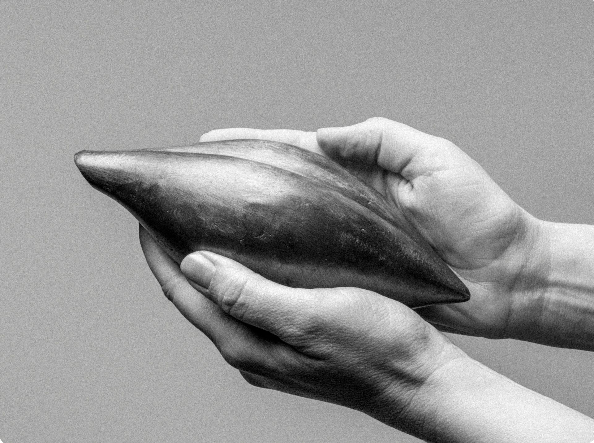 Bratislava City Gallery opens major Maria Bartuszová exhibition at Mirbach Palace