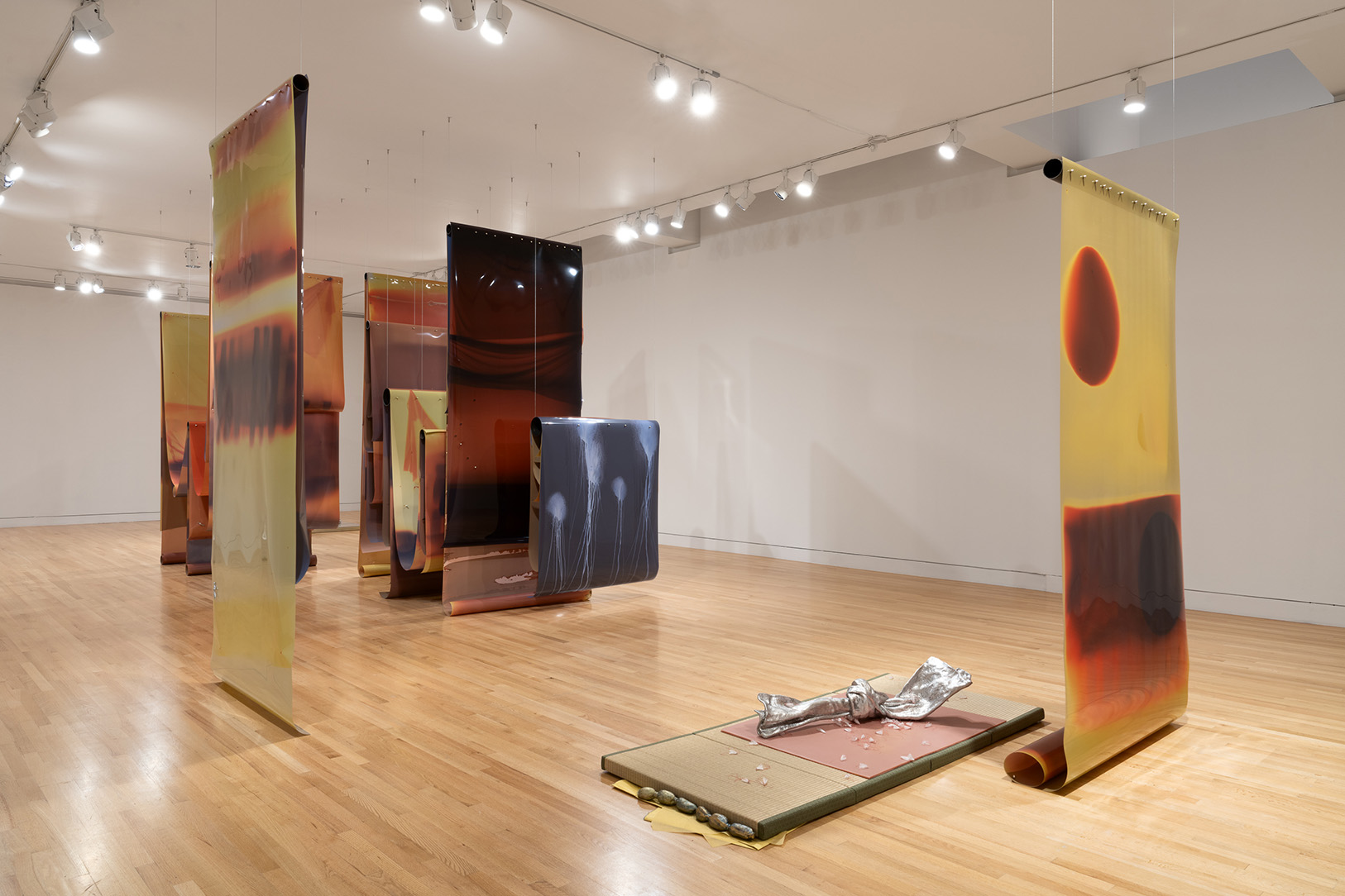 Frye Art Museum presents Lotus L. Kang’s largest museum exhibition to date