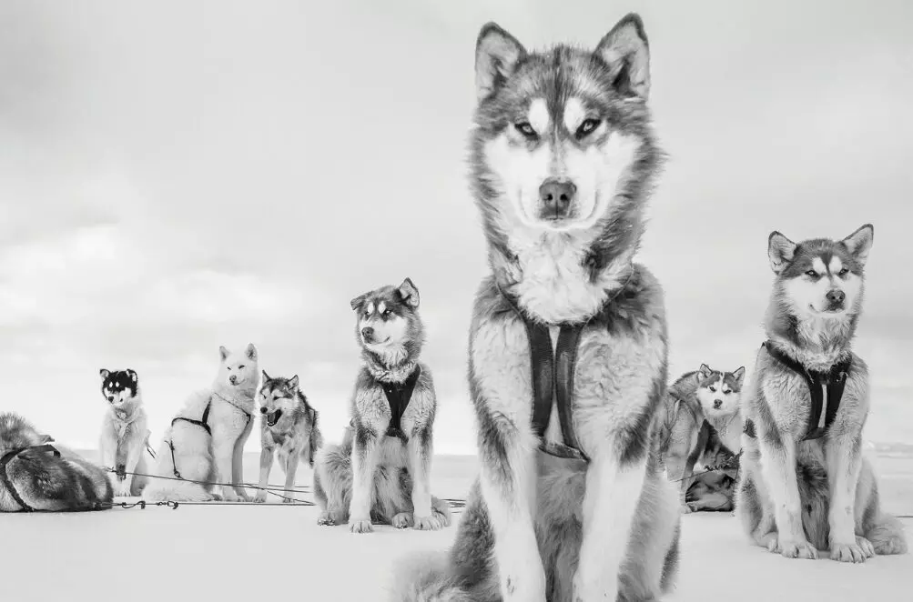 Cristina Mittermeier retrospective to open in Brescia with more than 80 photographs