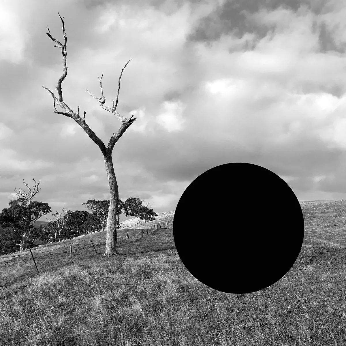 AGSA to survey James Tylor’s Indigenous photographic practice in major Adelaide exhibition