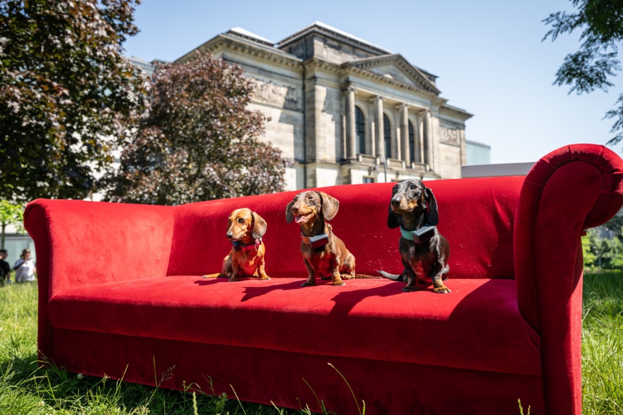 Kunsthalle Bremen to stage first major exhibition on the dachshund in art