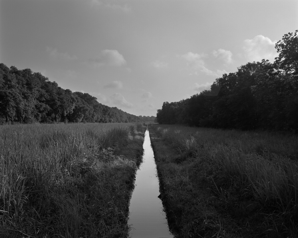 Dawoud Bey exhibition at the AGO traces landscape as historical evidence