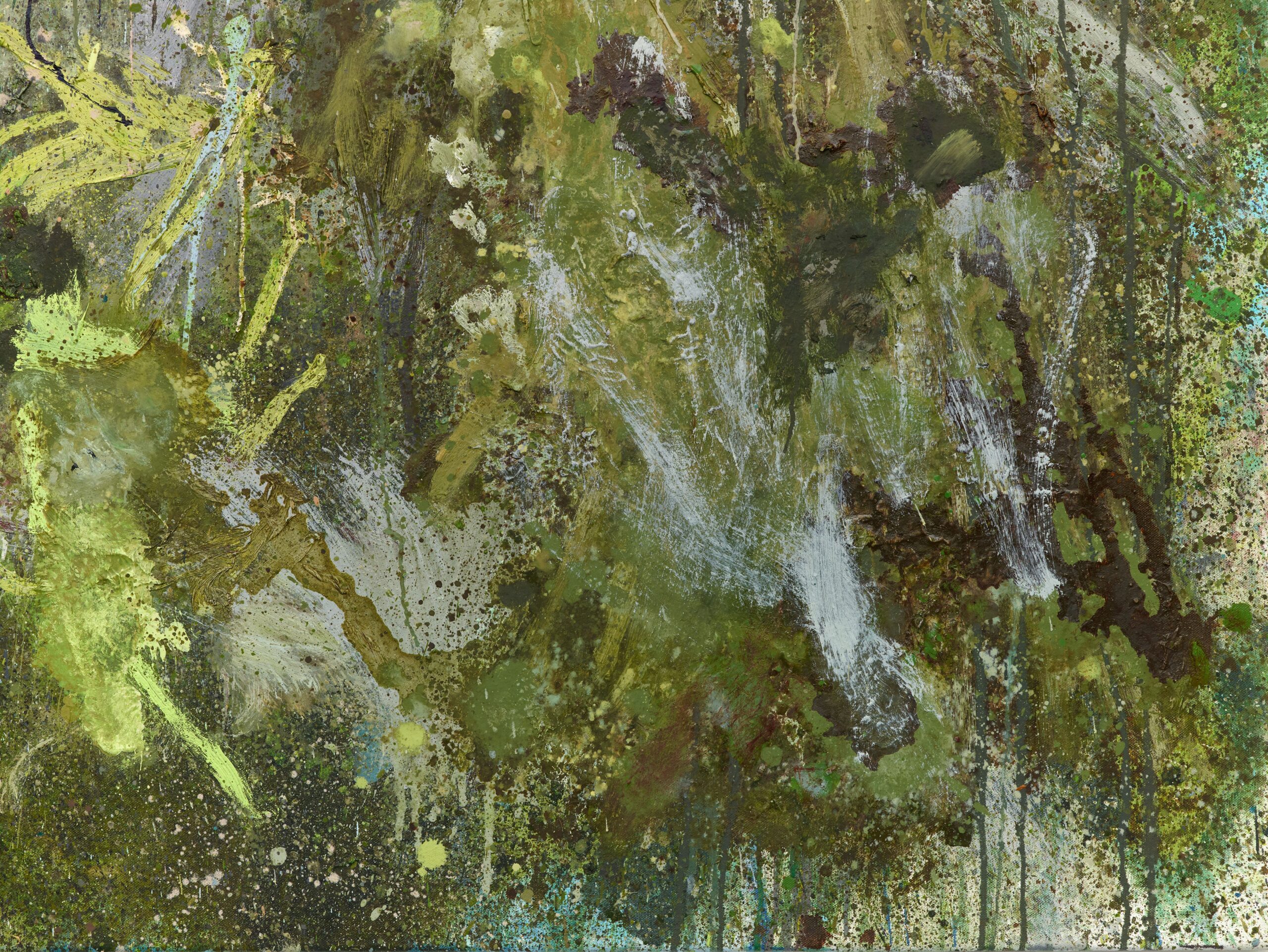 Castlefield Gallery surveys ecology and artistic practice in 'Out Here'