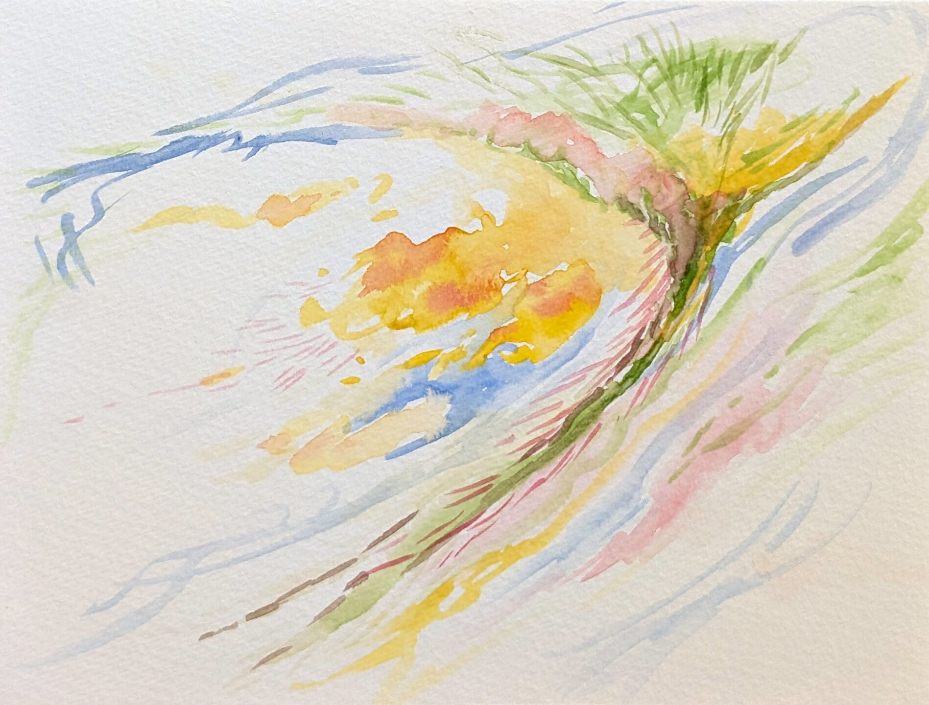 HEK to launch Casey Reas’s 'Omnia Ex Natura: In Situ' as an online solo exhibition
