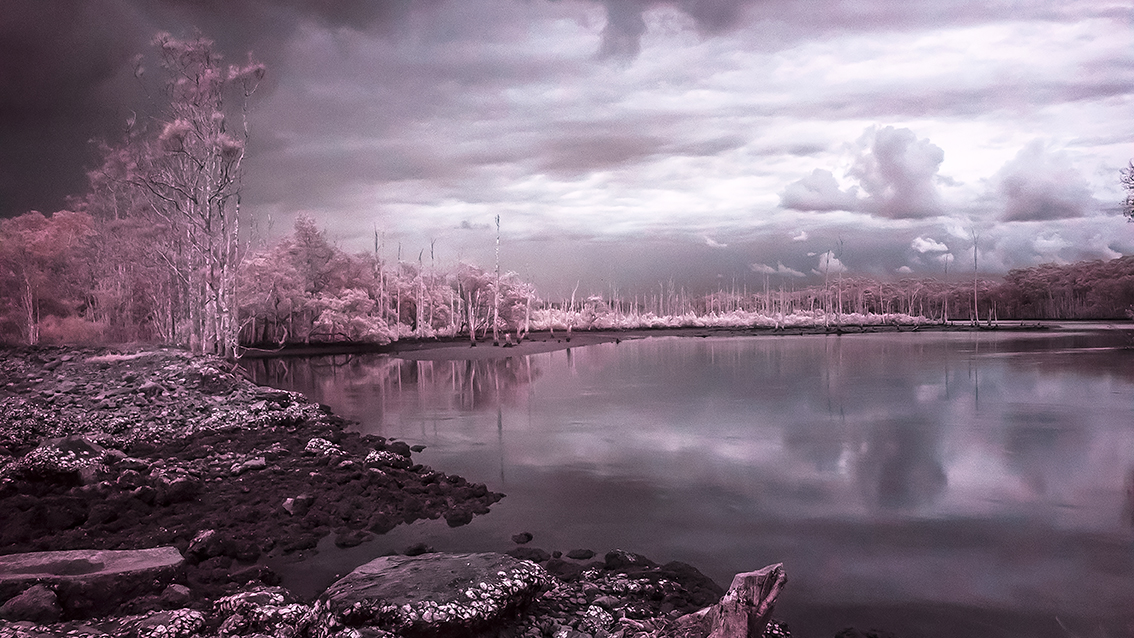 Bathurst Regional Art Gallery to survey 27 years of Nicole Welch’s landscape-based practice