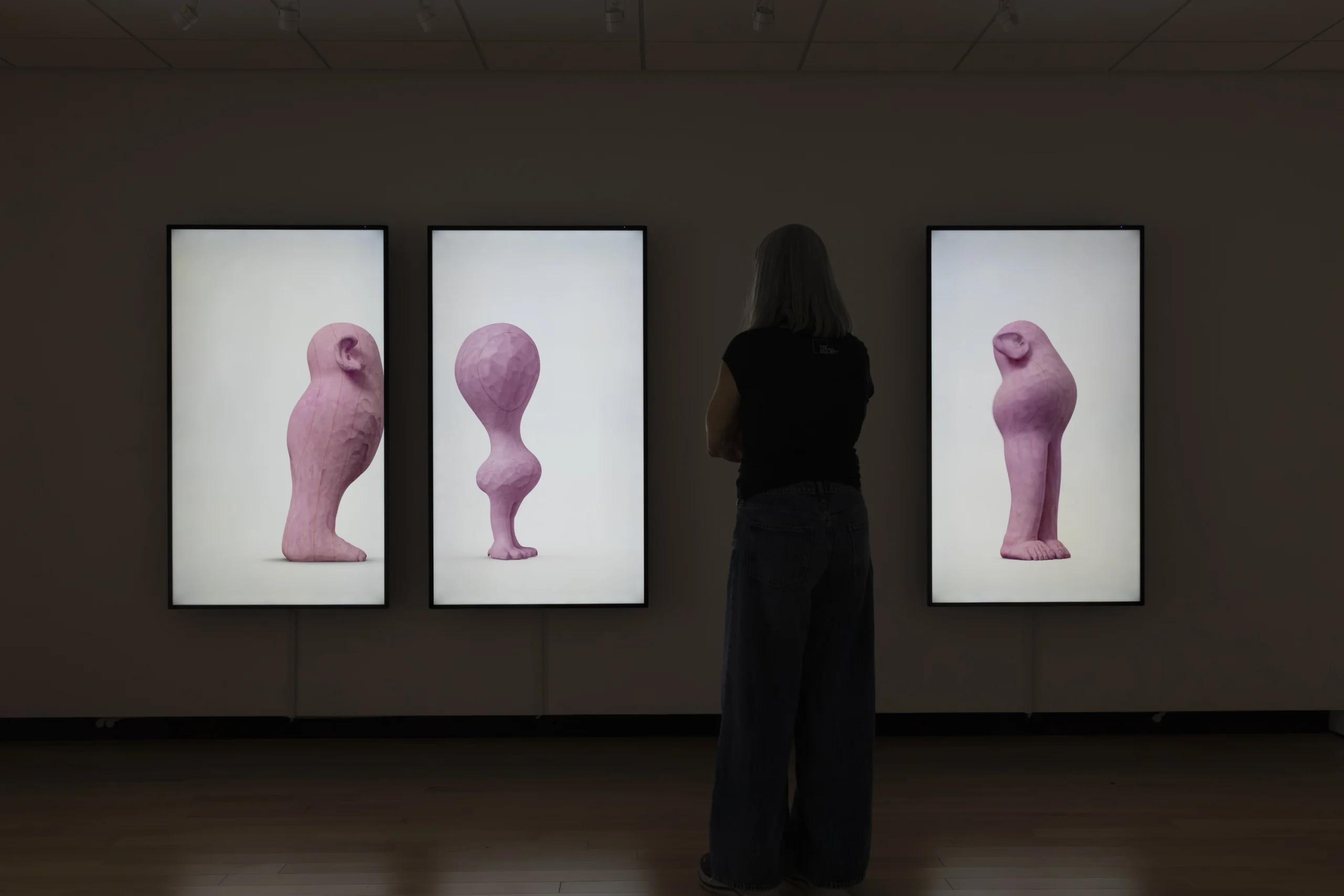 Art Gallery of Peterborough presents Lyn Carter’s ‘The Pinks’ through October 4