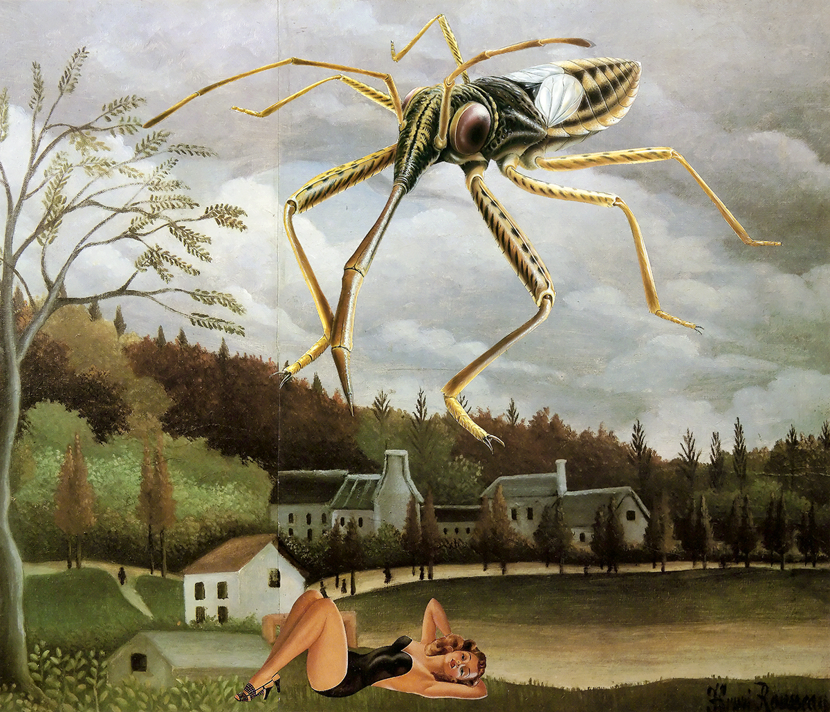 WAG to open 'Terra Cognita/Incognita' with more than 125 works on landscape and climate