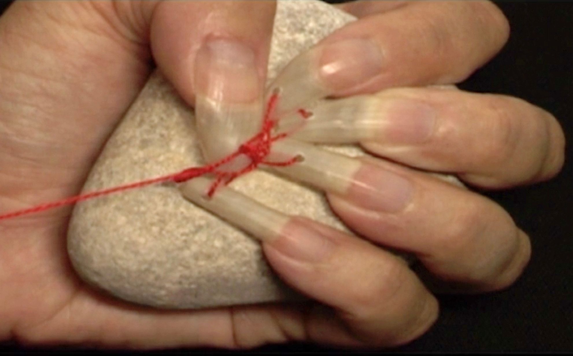 CCA Tel Aviv-Yafo presents Nardeen Srouji’s 'A sole cypress' alongside archive video programming