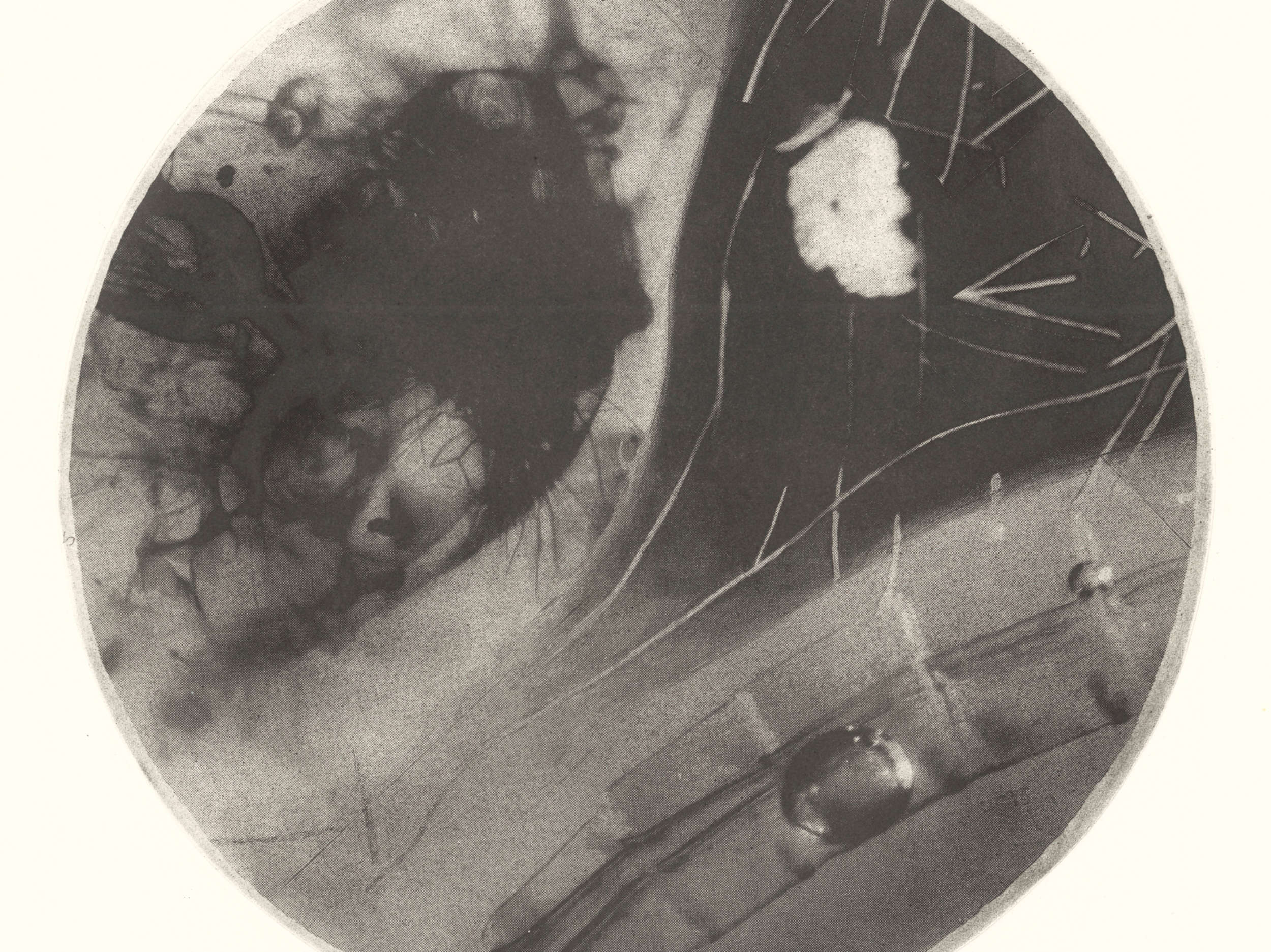 Graphische Sammlung ETH Zurich to Open ‘Hugo Suter. Flowing and Growing. The Printmaking’