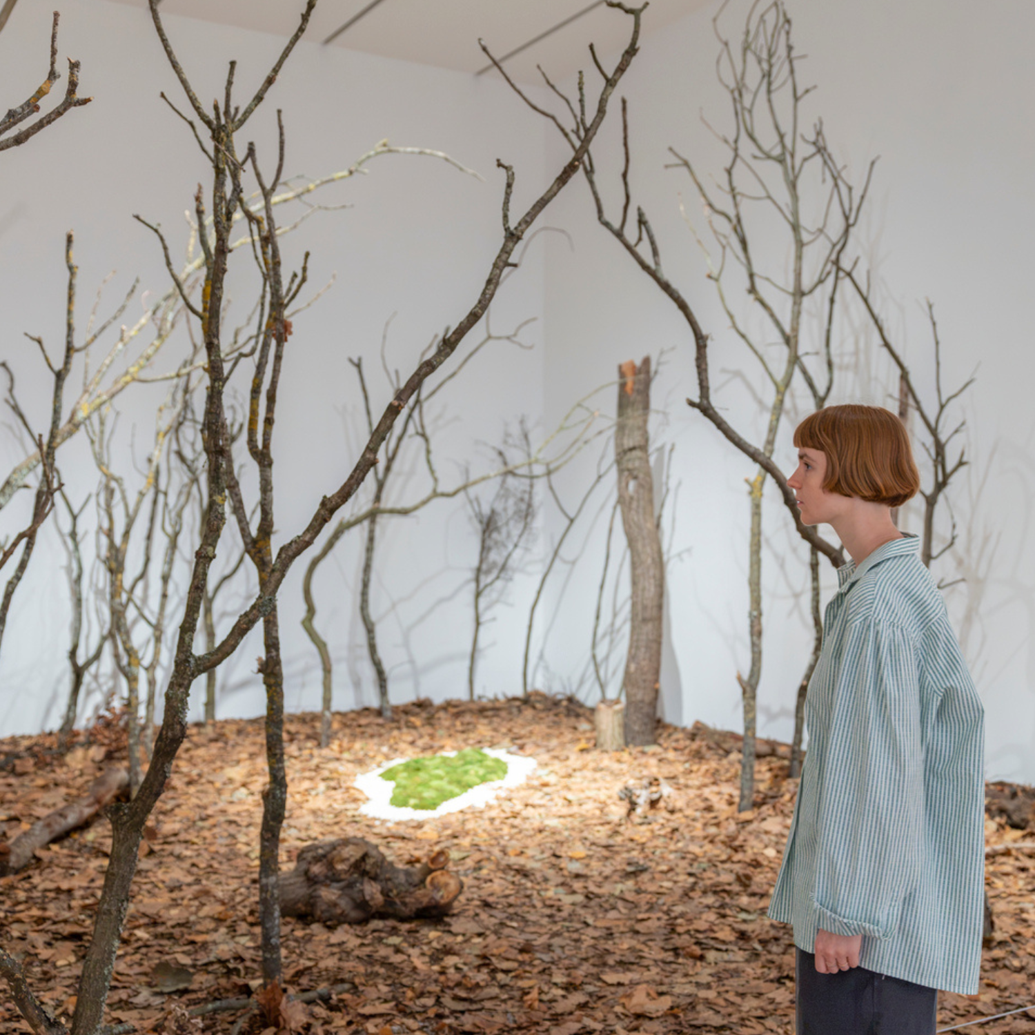 Tate Modern Promotes Ana Mendieta Exhibition Featuring Works Made with Fire, Water and Flowers