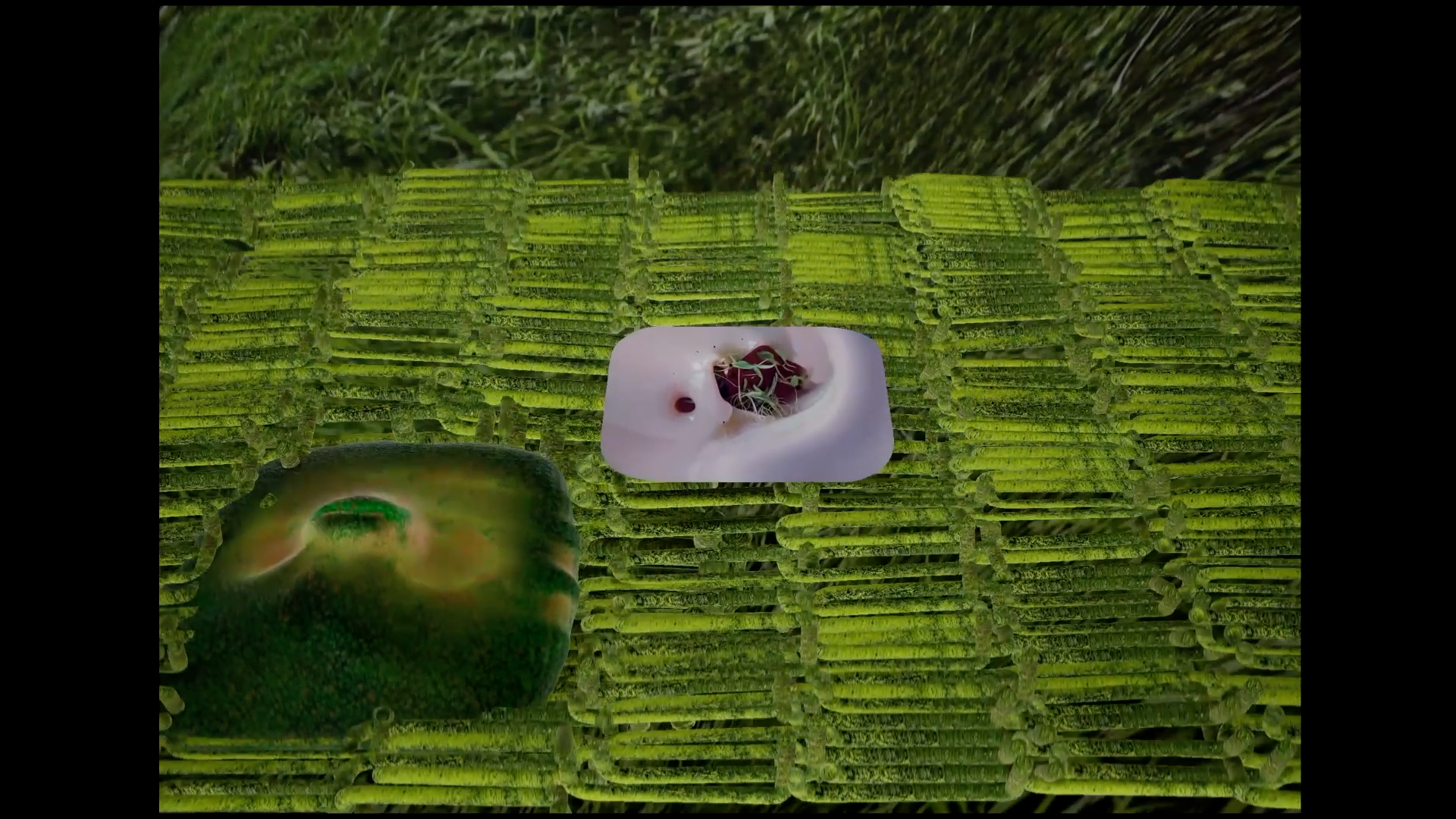 Museum of Contemporary Art Cleveland to Present Tishan Hsu’s ‘permeable surface’