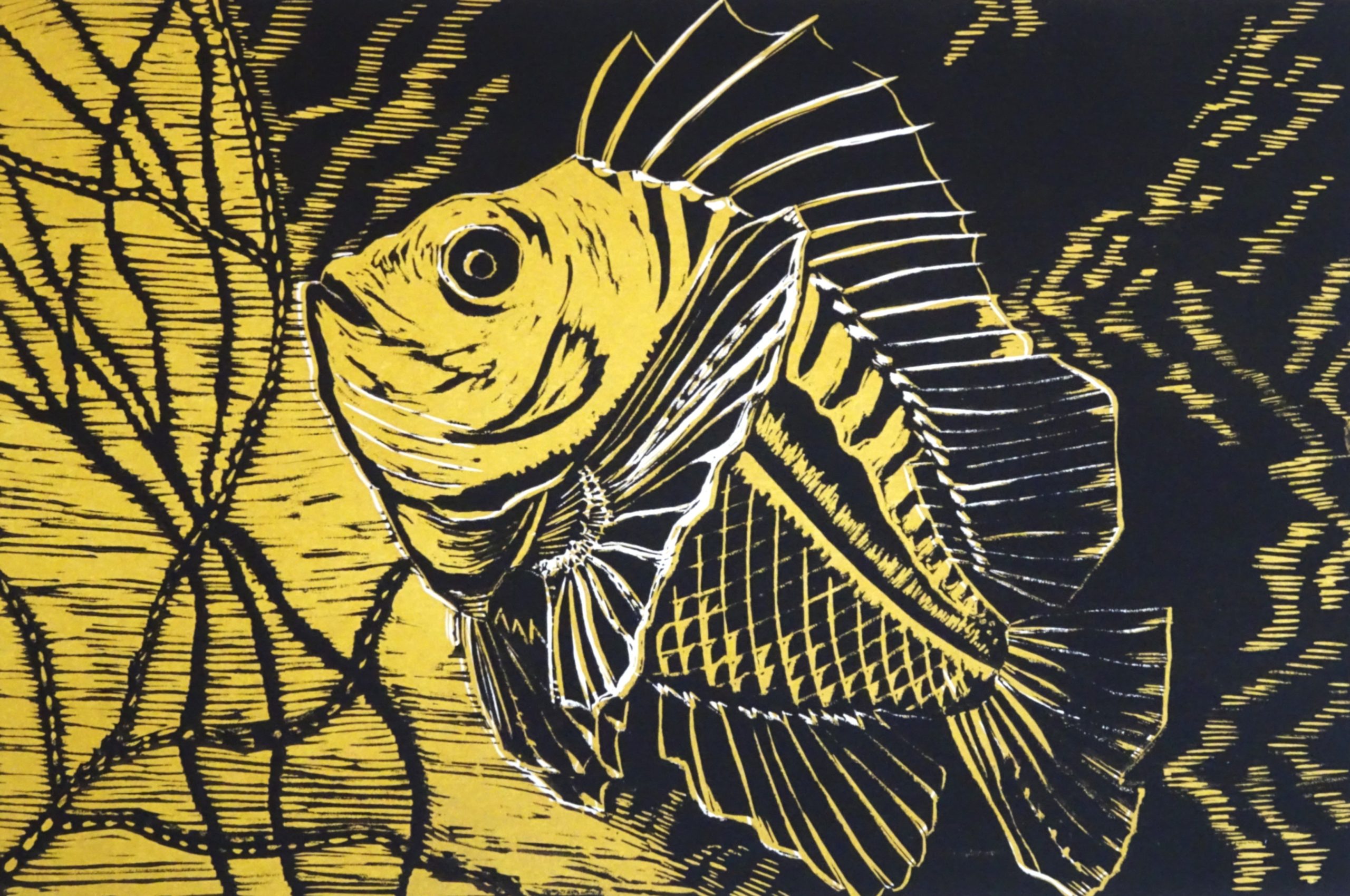 Julie Edgar’s Prints of Sea Life, Horses and Birds on View at NERAM