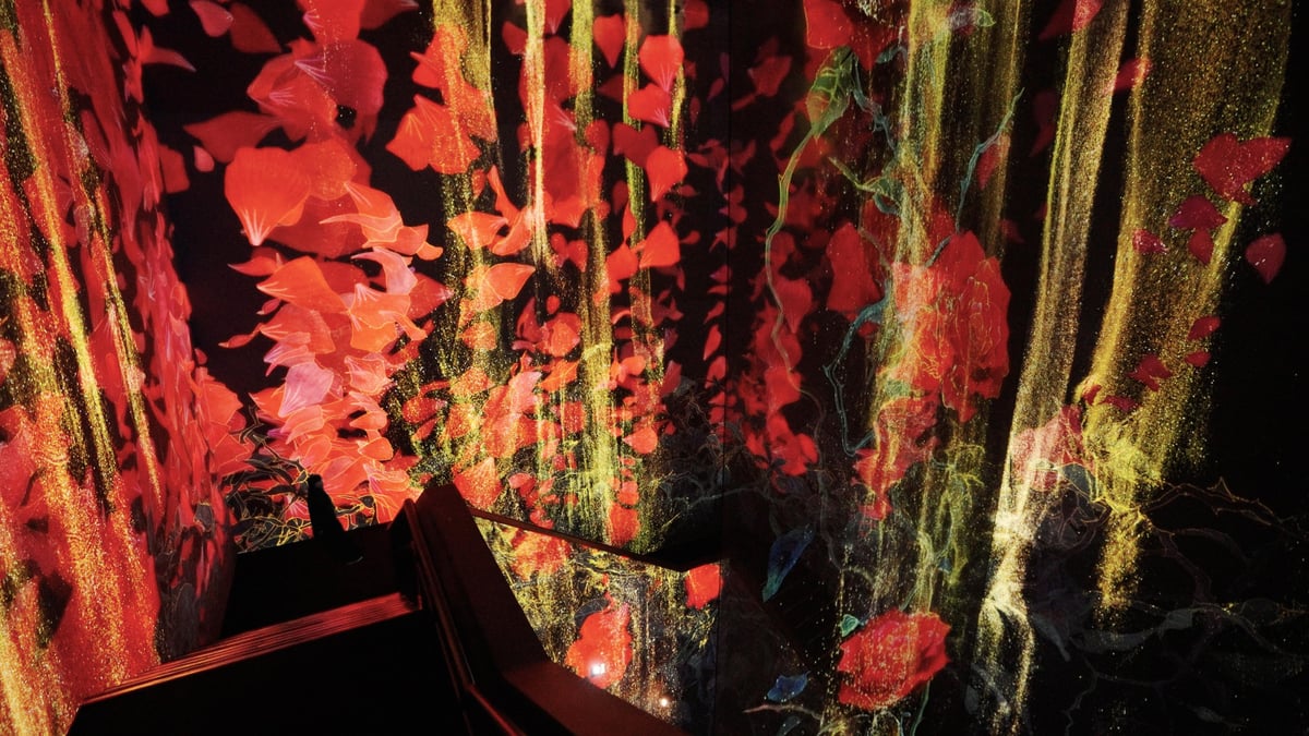 teamLab Borderless Jeddah Opens in Jeddah Historic District