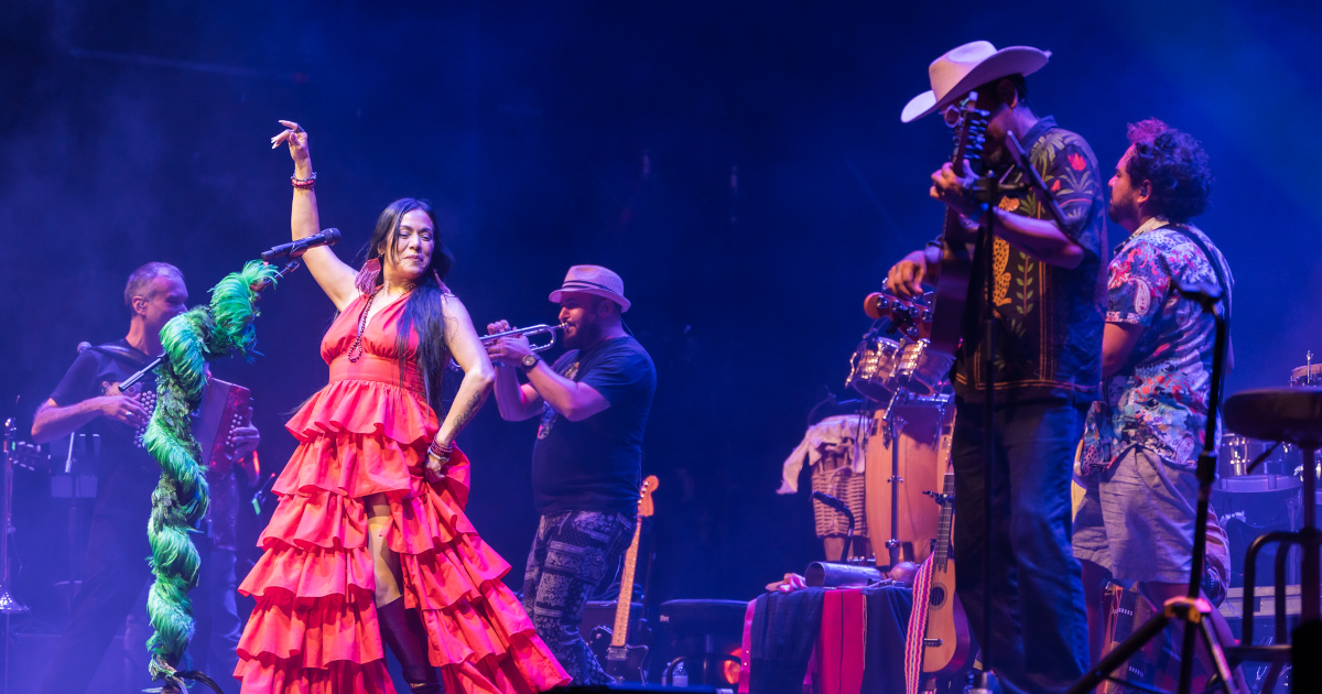 Artwork associated with Lila Downs