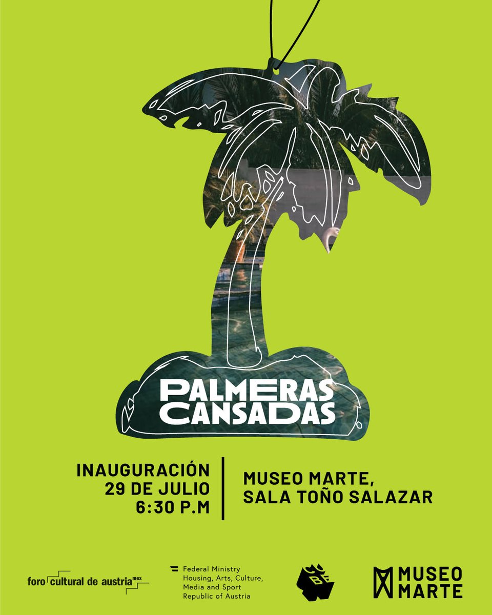 Museo MARTE announces opening of 'Palmeras Cansadas'