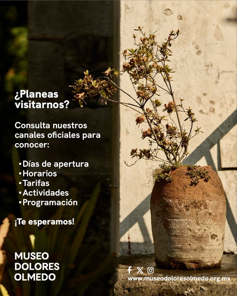 Museo Dolores Olmedo highlights major Diego Rivera and Frida Kahlo holdings in Xochimilco