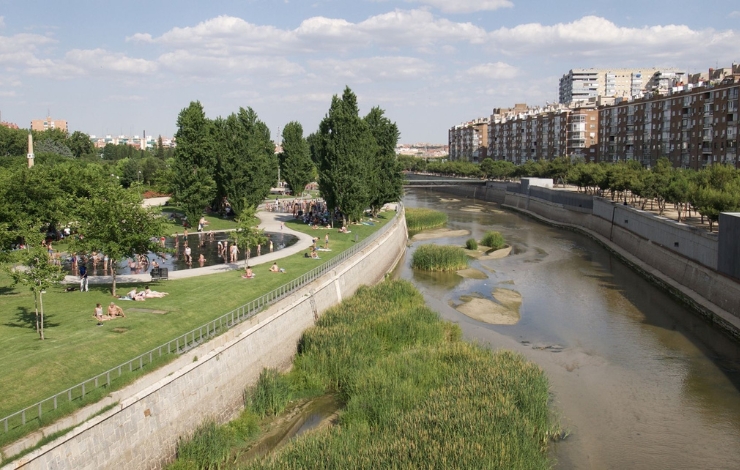 Otters Return to Madrid’s Manzanares River After Half a Century