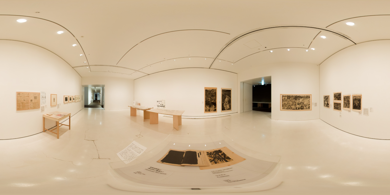 Aomori Museum of Art exhibition 'コスモスの咲くとき' archived online through ART360°