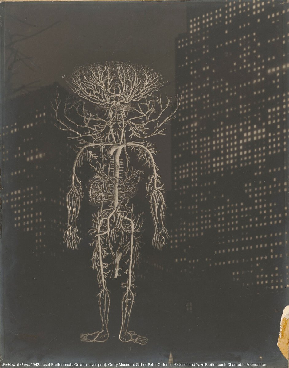 Getty Announces Major Multi-Year Acquisition of Josef Breitenbach Photographs