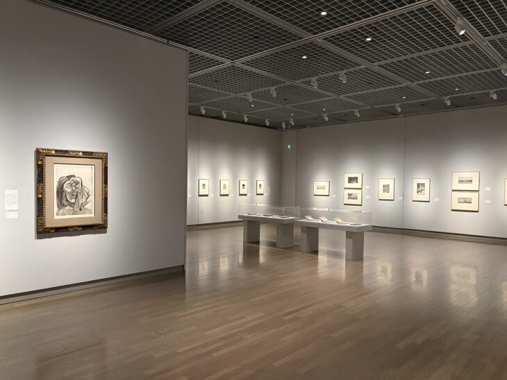Museum of Modern Art, Wakayama Opens Second Display of Its Print Collection
