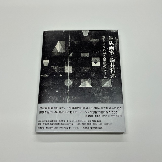 Museum of Modern Art, Kamakura & Hayama Publishes Catalog on Tetsuro Komai