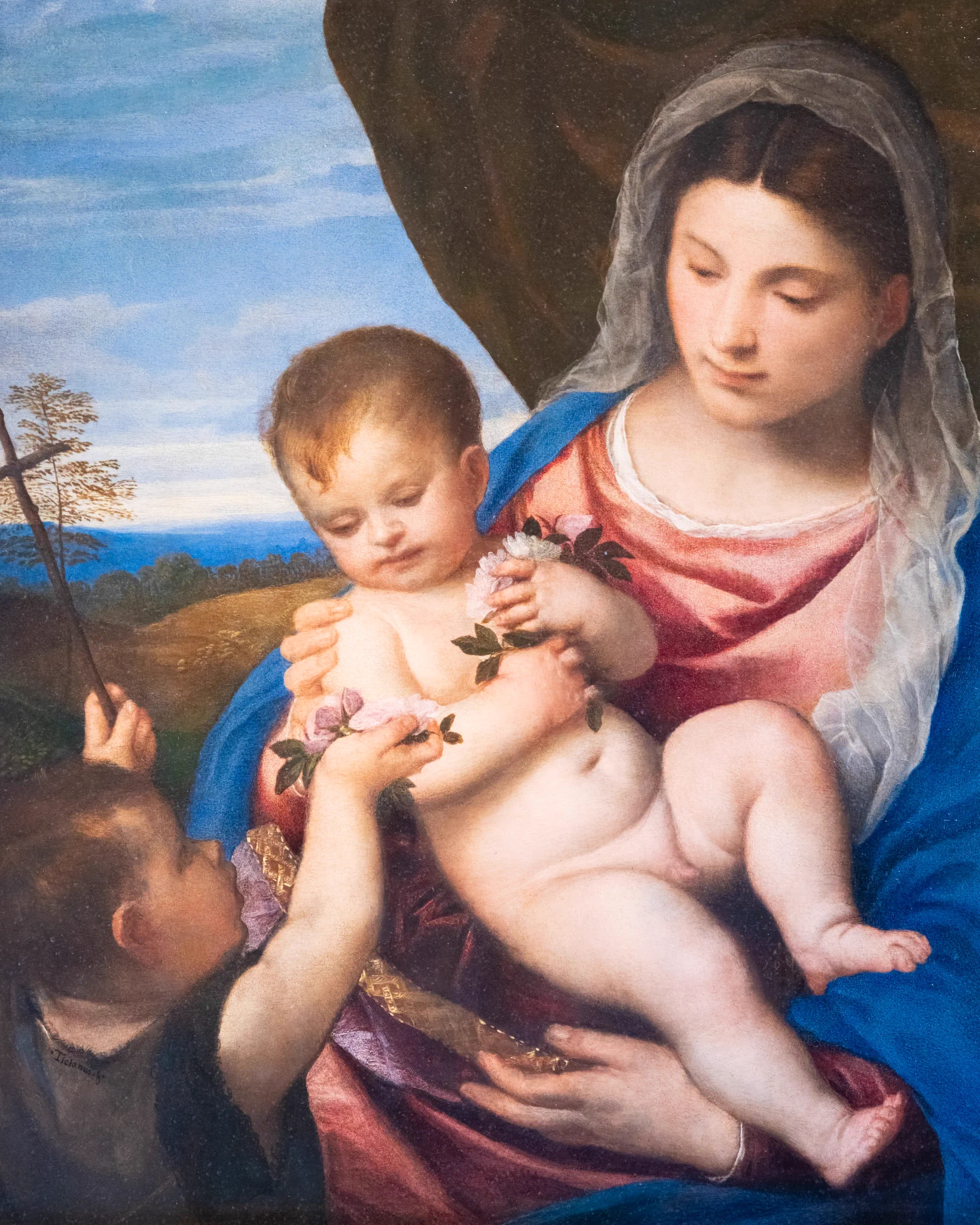 Uffizi Highlights Titian’s ‘Madonna of the Roses’