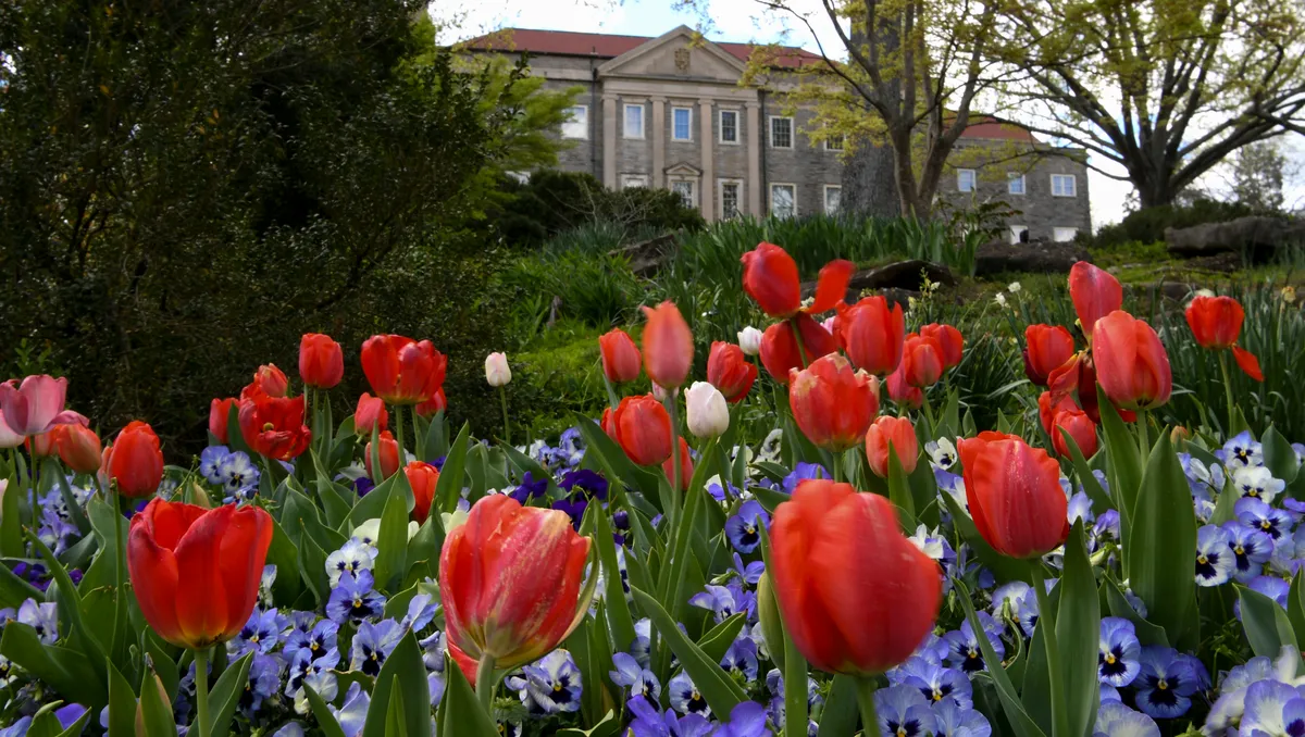 Cheekwood Fight Over Parking Raises Stakes for Nashville Art Institution