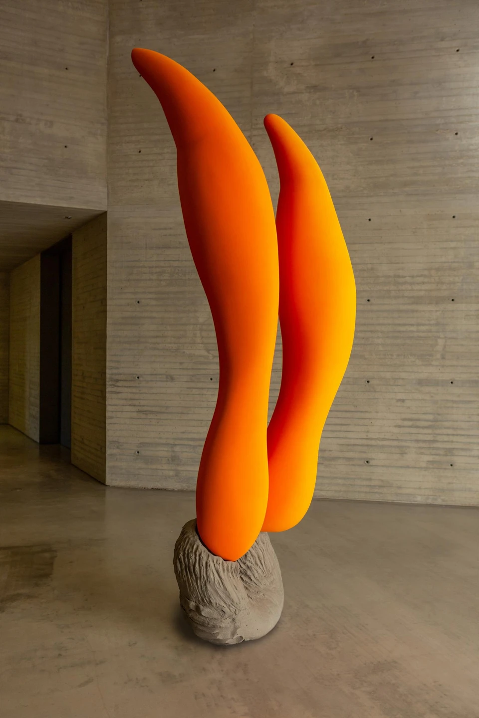 Teresa Solar Presents ‘Tuneladora’ at Museo Reina Sofía
